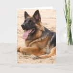 Resting German Shepherd Dog Greeting Card