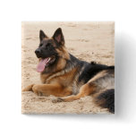 Resting German Shepherd Dog Square Pin