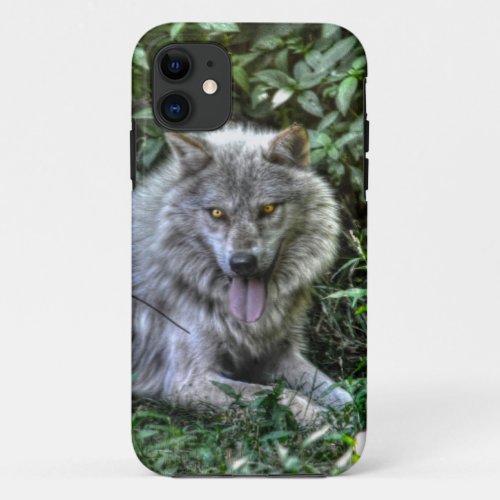 Resting Grey Wolf 3 Wildlife Gift iPhone 11 Case