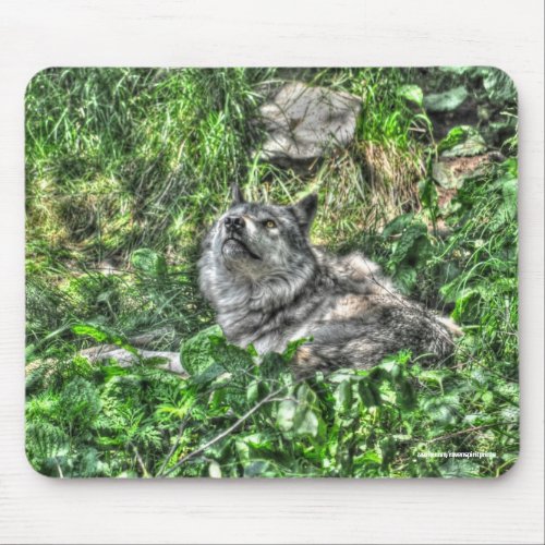 Resting Grey Wolf 3 Wildlife Gift Mouse Pad