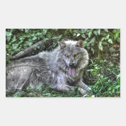 Resting Grey Wolf 3 Wildlife Gift Rectangular Sticker