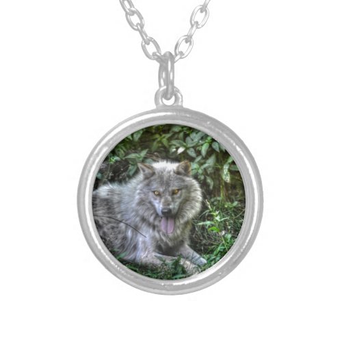 Resting Grey Wolf 3 Wildlife Gift Silver Plated Necklace