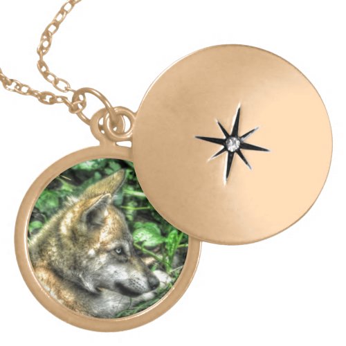 Resting Grey Wolf Pup Wildlife Gift Locket Necklace