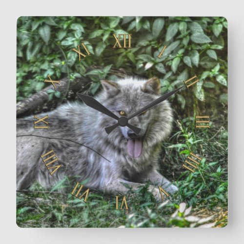 Resting Grey Wolf Wildlife Clock