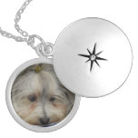 Resting Havanese Dog Locket Necklace
