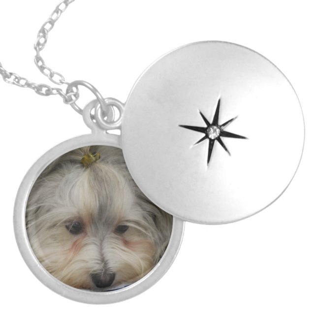 Resting Havanese Dog Locket Necklace (Front)