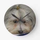 Resting Havanese Dog Round Clock