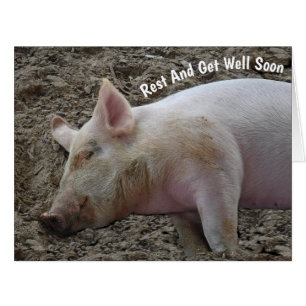 RESTING HOG/THE DAY YOU RETURN WE'LL BE IN HOG HEA CARDS