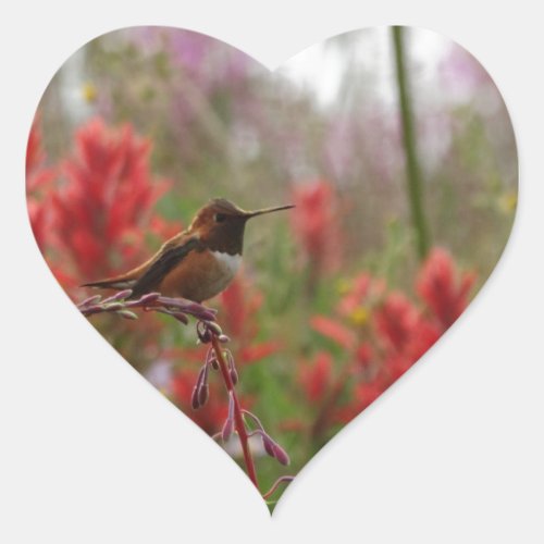 Resting Hummingbird Heart Sticker