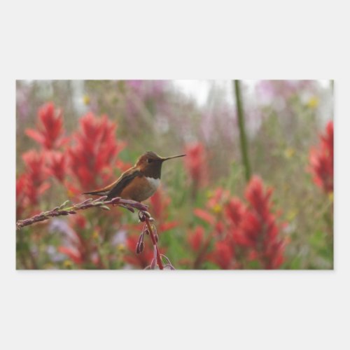 Resting Hummingbird Rectangular Sticker