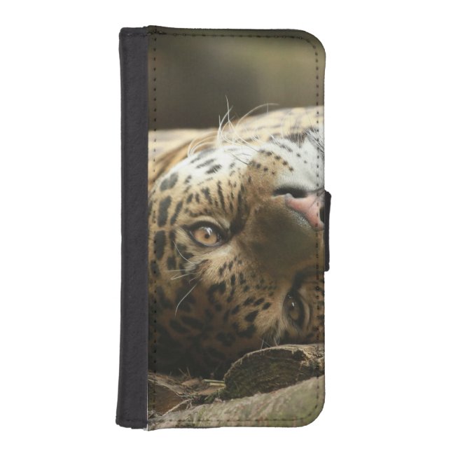 Resting Jaguar iPhone Wallet Case (Front)