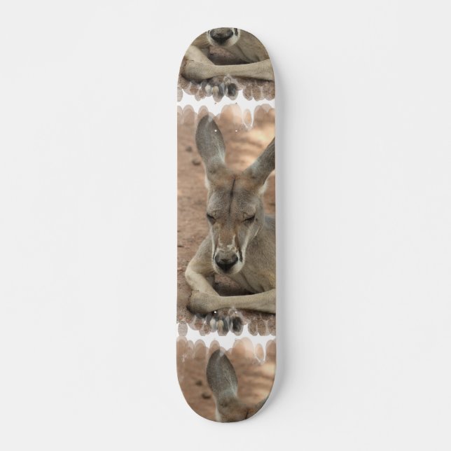 Resting Kangaroo Skateboard (Front)
