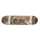 Resting Kangaroo Skateboard Deck
