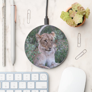 Resting Lioness in African Wilderness Wireless Charger