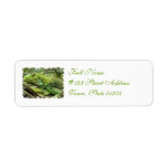 Resting Lizard Address Labels