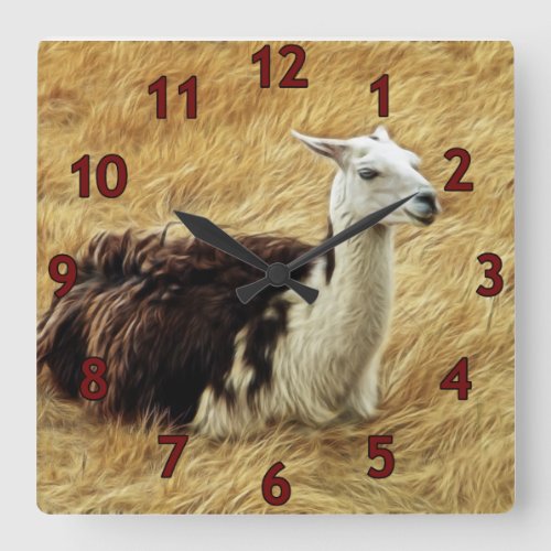 Resting Llama Square Wall Clock