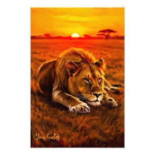 Resting Male Lion on Golden Savanna Photo Print