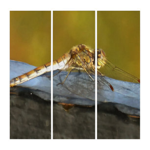 Resting Ochre Brown Dragonfly Realistic Painting Triptych