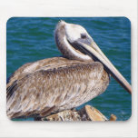 Resting Pelican Mouse Pad