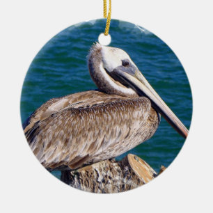 Resting Pelican Ornament