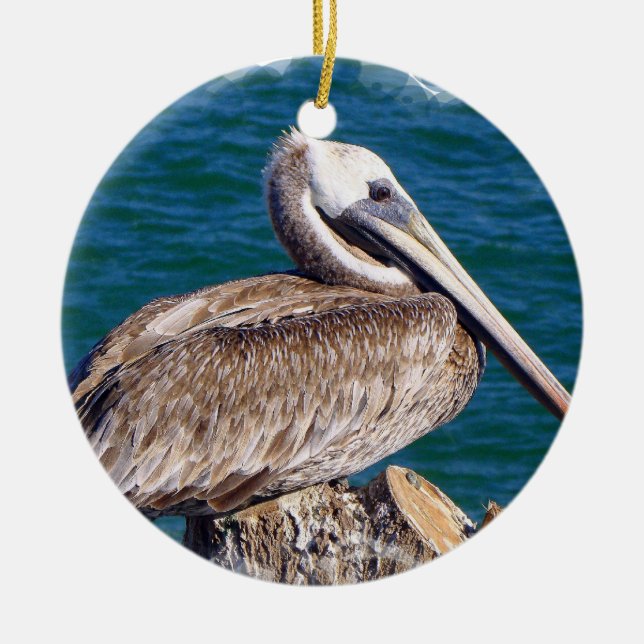 Resting Pelican Ornament (Front)