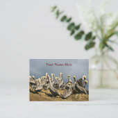 Resting Pelicans Business Card (Standing Front)
