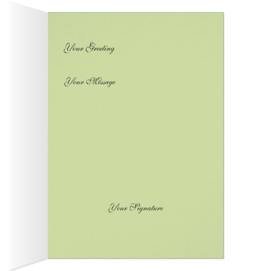 Resting Pink Cockatoos - Customize (Inside (Right))