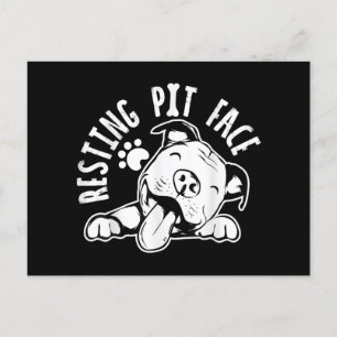 Resting Pit Face Funny Dog Pitbull Meme Postcard