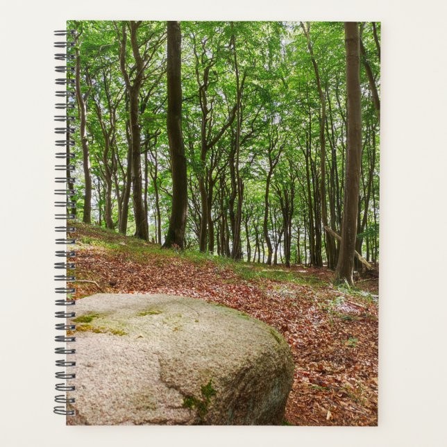 Resting Place Beech Forest Planner (Front)