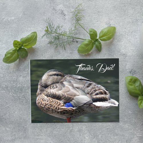 Resting Pond Duck Photo Fathers Day Card