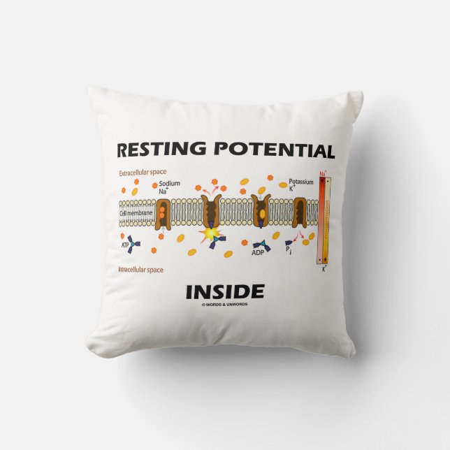 Resting Potential Inside (Sodium-Potassium Pump) Throw Pillow (Front)