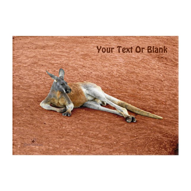 Resting Red Kangaroo Buck Acrylic Print (Front)