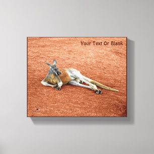 Resting Red Kangaroo Buck Canvas Print