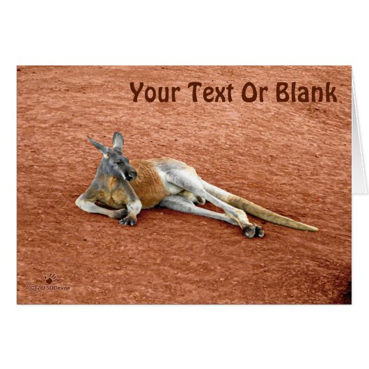 Resting Red Kangaroo Buck Cards (Front Horizontal)