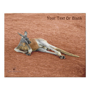 Resting Red Kangaroo Buck Faux Canvas Print