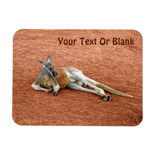 Resting Red Kangaroo Buck Magnet (Horizontal)