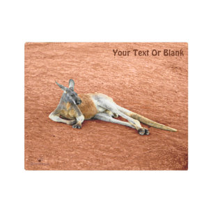 Resting Red Kangaroo Buck Metal Print