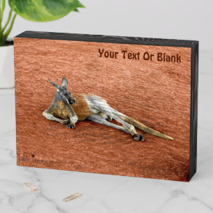 Resting Red Kangaroo Buck Wooden Box Sign