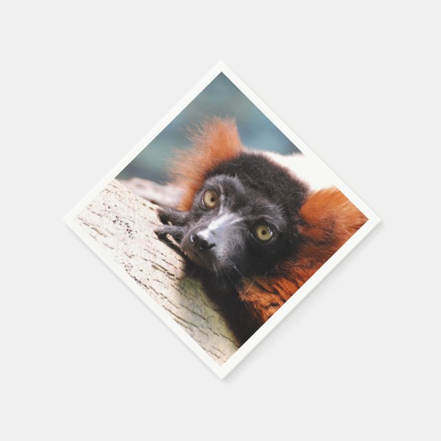 Resting Red Ruffed Lemur Paper Napkins (Corner)