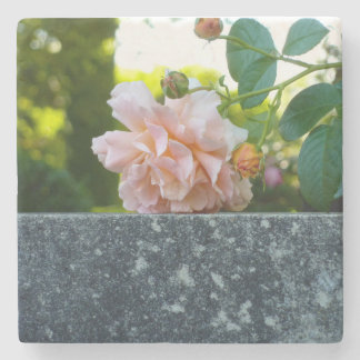 Resting Rose Marble Coaster