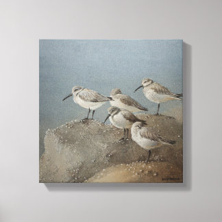 Resting Sanderlings #2 Painting by Ezartesa Canvas Print