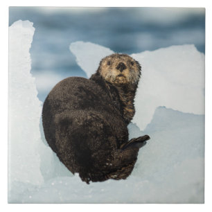 Resting Sea Otter Ceramic Tile