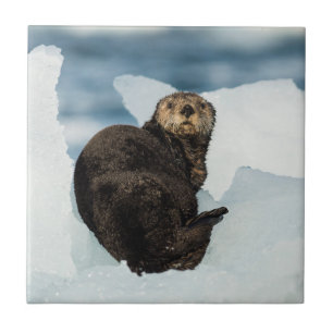 Resting Sea Otter Ceramic Tile