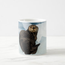 Resting Sea Otter