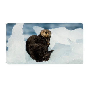 Resting Sea Otter Label