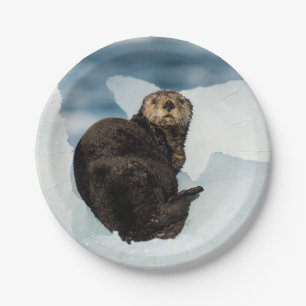 Resting Sea Otter Paper Plates
