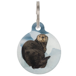 Resting Sea Otter Pet ID Tag