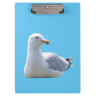Resting Seagull Coastal  Ocean Bird Nature Art Clipboard