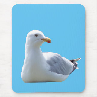 Resting Seagull Coastal Ocean Bird Nature Desk  Mouse Pad