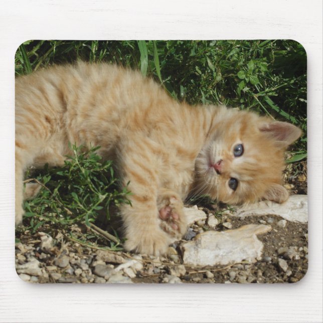 Resting Tabby Baby Mouse Pad (Front)